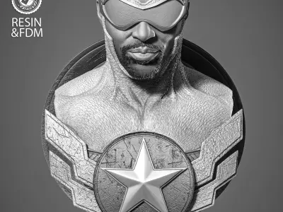 Wicked Marvel Falcon Portrait Bust  3D print model
