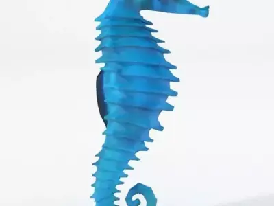 Seahorse Low-poly 3D model buy