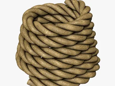 Thick Rope 3D model