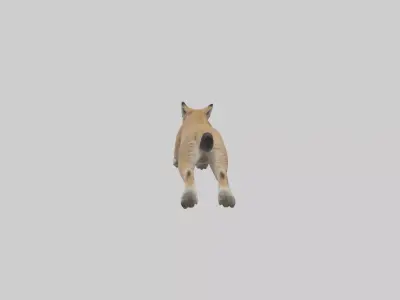 Lynx jumping model Low-poly 3D model