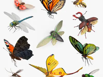 Flying Insects Collection 6 3D model
