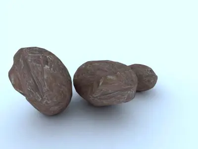Rock model 3D model