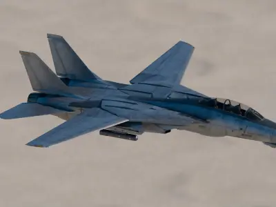 Grumman F-14 Tomcat 3D model