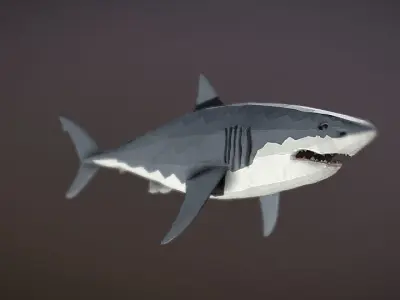 low poly animation shark Low-poly 3D model