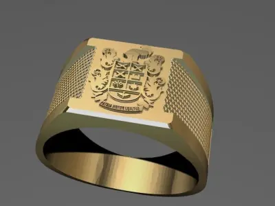 ANILLO DE EJERCITO NACIONAL COLOMBIA  3D model