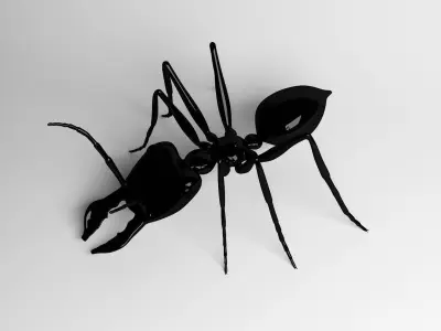 Ant Model 3D model