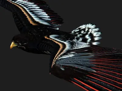 Eagle A1 3D model