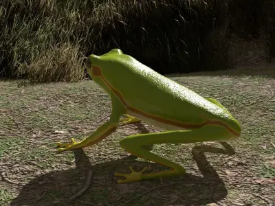 Tree frog Low-poly 3D model purchase