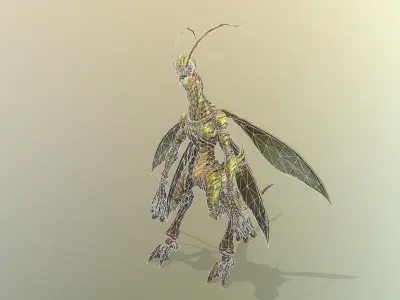 Califera Low-poly 3D model