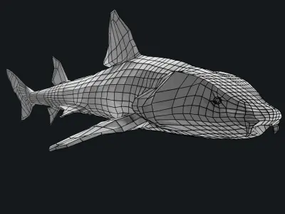 Bamboo Shark Base Mesh Low-poly 3D model