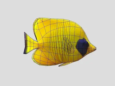 Bluecheek butterflyfish Low-poly 3D model