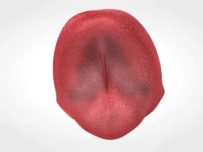 Tongue lip Low-poly 3D model