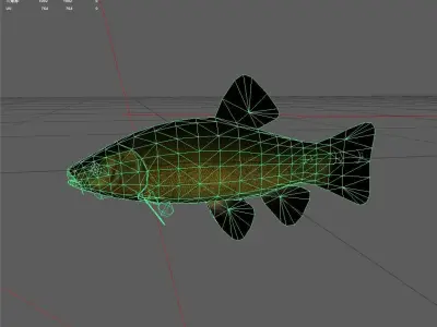 Carp fish Low-poly 3D model 11