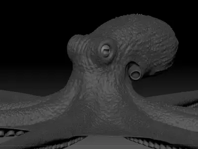 Octopus 3D model 8