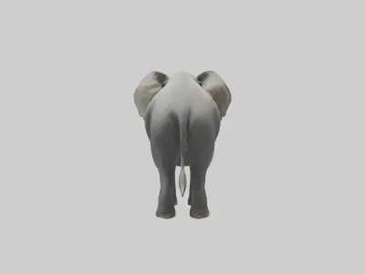 Elephant trumpeting model Low-poly 3D model