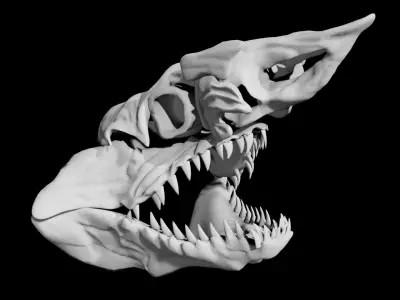 Shark Skull Low-poly 3D model