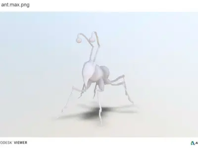 Ant Model insect Free 3D model