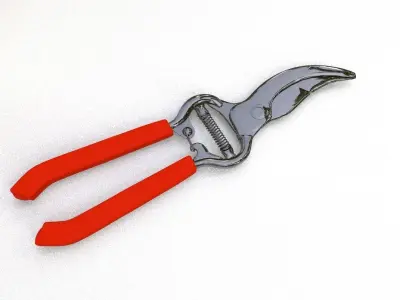 Pruning Sheers 3D model