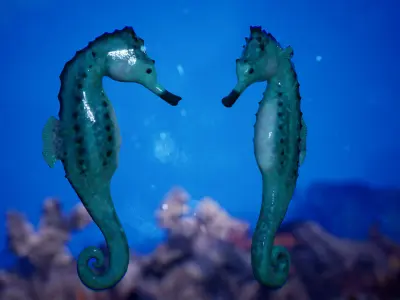 Sea Animals 12 Meshes Low-poly 3D model