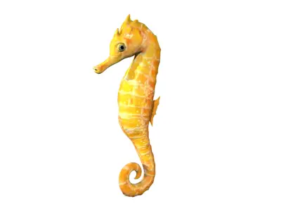Seahorse wall art Low-poly 3D model