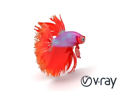 CoralGlow Betta Neon Fish model pack Low-poly 3D model