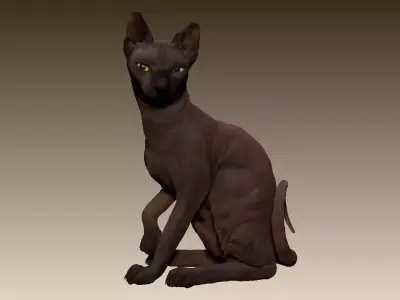Sphinx cat 3D model