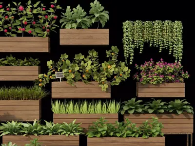 Home plants 3D model Low-poly 3D model