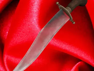 Bowie knife 3D model get