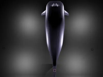 RIGGED DOLPHIN MODEL Free 3D model