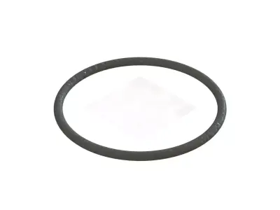 O Ring Vedabras 12811 3D model