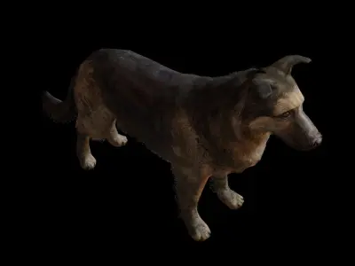 Low Poly Dog last of us Low-poly 3D model