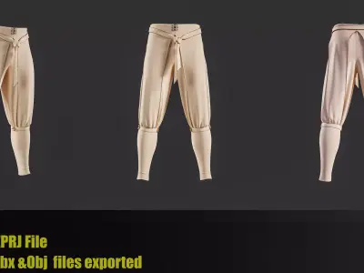 12Medieval warrior pants 3D model