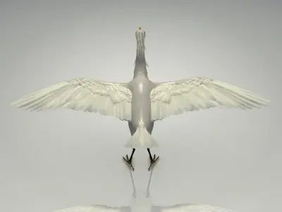 Egretta eulophotes Egret Bird Low-poly 3D model purchase