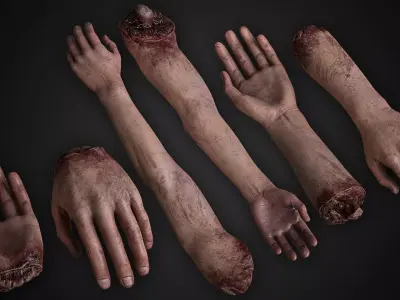 Human Remains  Rigged  Low-poly 3D model