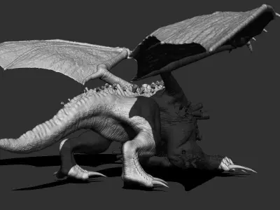 Leviathan dragon 3D model