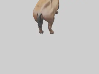 Bison grazing model 3D model