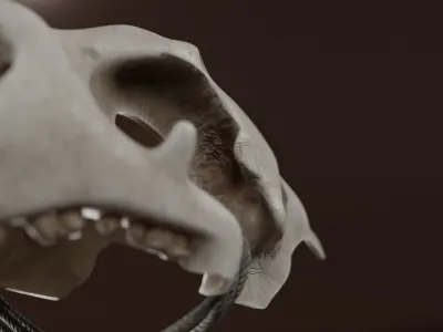 Prehistoric brass knuckles skull Low-poly 3D model