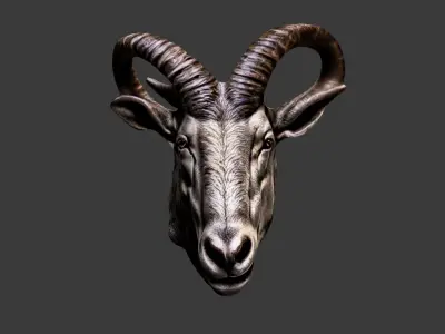 Deer Animal Head Low-poly 3D model 8