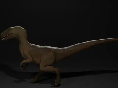 velociraptor model rigged Low-poly 3D model