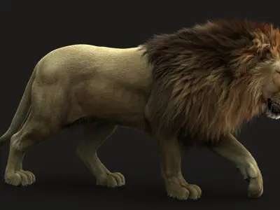 Lion 3 RIG FUR 3D model