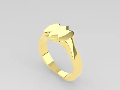 Rings Women And Man Rings 3dm 3D print model