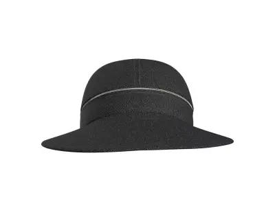 Face Saver Hat 3D model