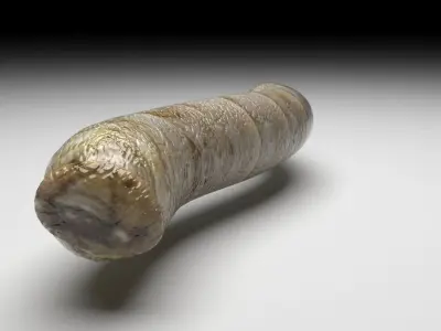 Silkworm 3D model