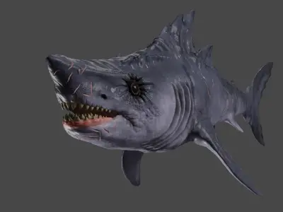 Shark game ready Low-poly 3D model