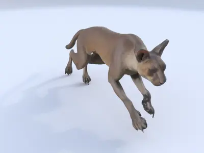 Fossa 3D model