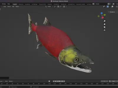 Sockeye Salmon Low-poly 3D model