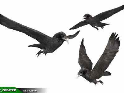 Low-poly Crow Rigged  Animated 3D model Low-poly 3D model