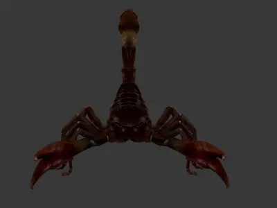 Scorpion Low-poly 3D model purchase