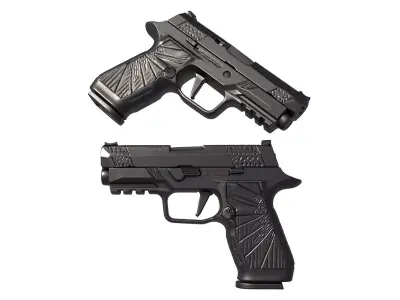 Wilson Combat WCP320 Carry 3D print model