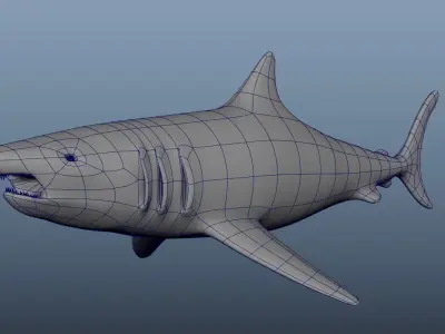 Shark great Low-poly 3D model buy